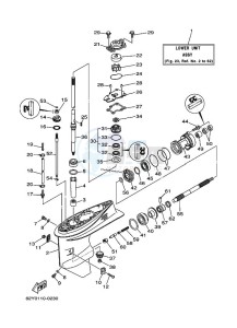 F50AETL drawing LOWER-CASING-x-DRIVE-1