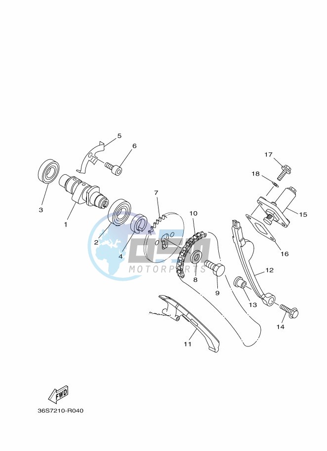 CAMSHAFT & CHAIN