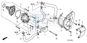 CB600F3A Australia - (U / ST) drawing WATER PUMP