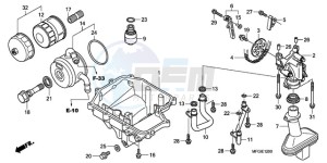 CB600FA France - (F / CMF 25K) drawing OIL PAN/OIL PUMP