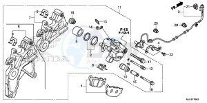 NC750XE NC750X Europe Direct - (ED) drawing REAR BRAKE CALIPER