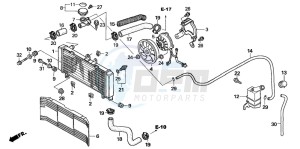 CBF600S drawing RADIATOR (CB600N6/NA6)