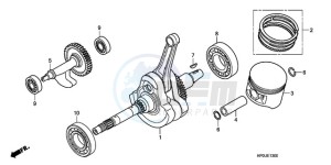 TRX500FPE9 Australia - (U / PS) drawing CRANKSHAFT/PISTON