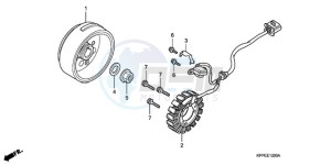 CBR125RWA France - (F / CMF WH) drawing GENERATOR