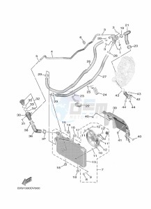 MWD300 TRICITY 300 (BED2) drawing RADIATOR & HOSE