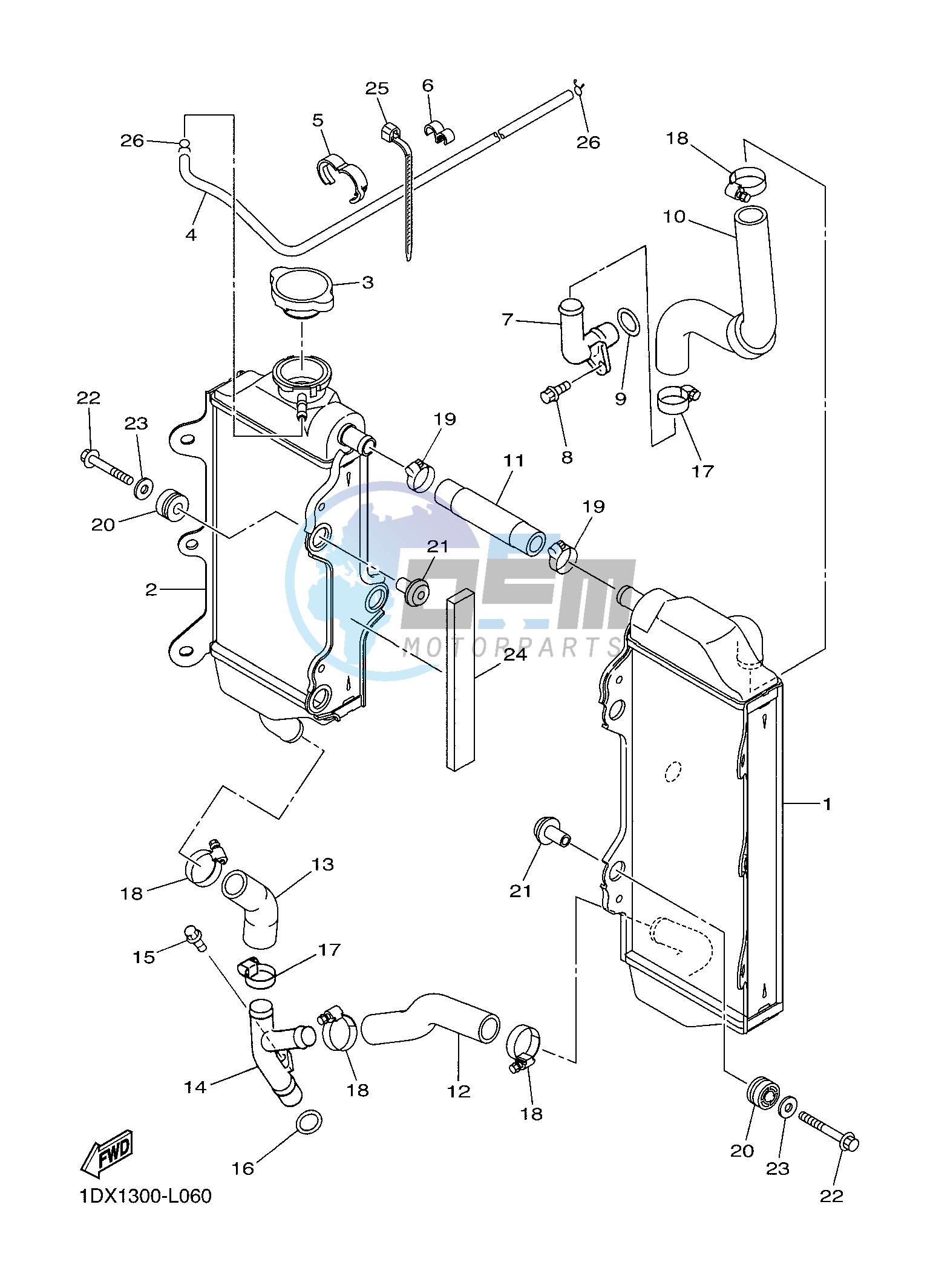 RADIATOR & HOSE