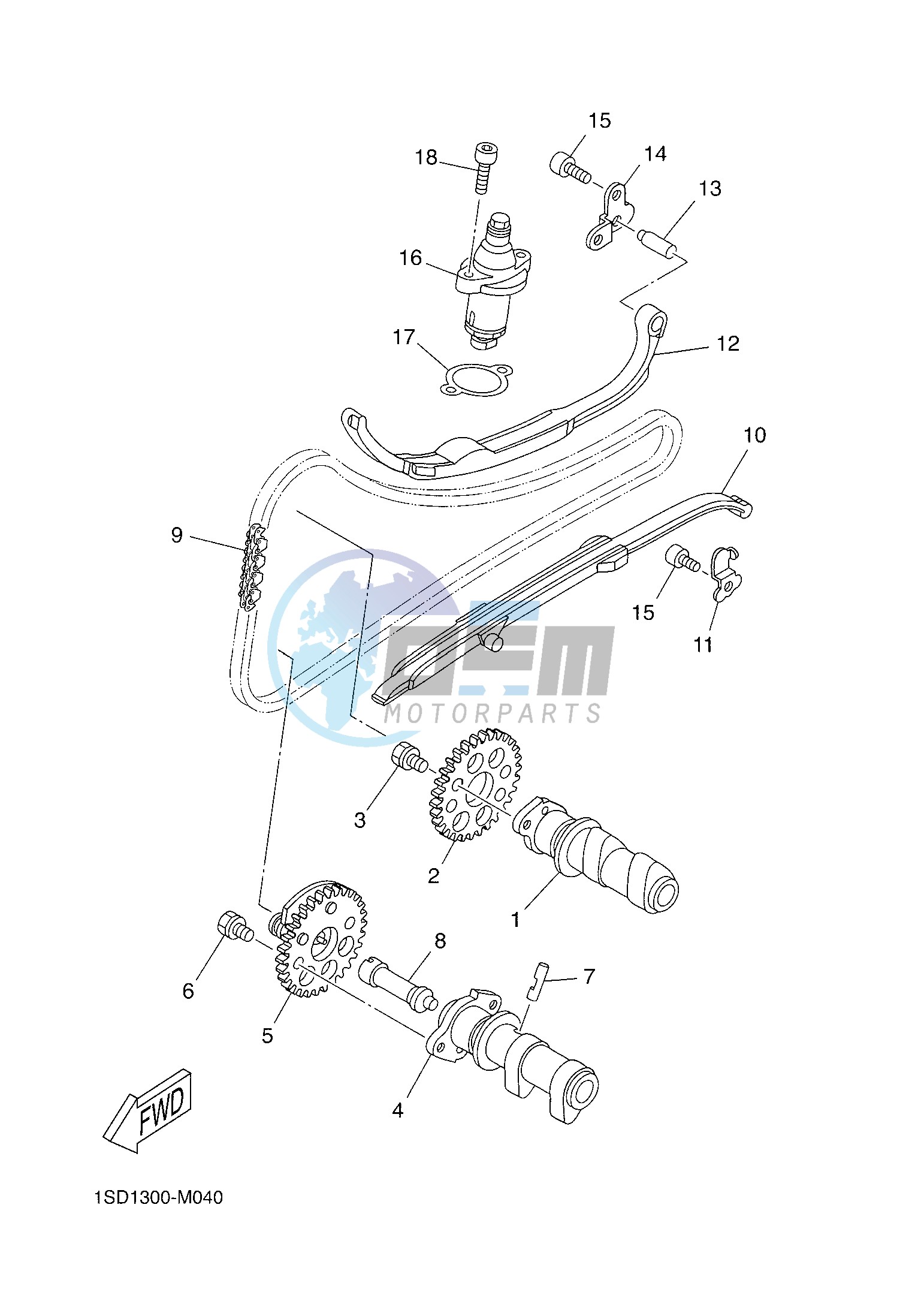 CAMSHAFT & CHAIN