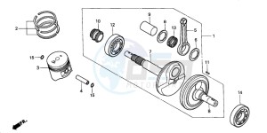 TRX200D FOURTRAX 200 drawing CRANKSHAFT