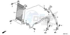 TRX680FAH Europe Direct - (ED) drawing OIL COOLER