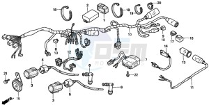 CMX250C REBEL drawing WIRE HARNESS/ IGNITION COIL