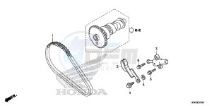 TRX500FA5H TRX500FA ED drawing CAM CHAIN/TENSIONER