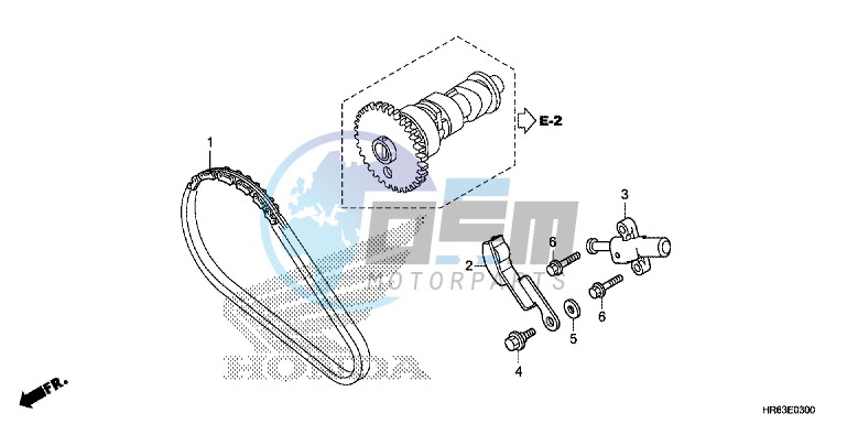 CAM CHAIN/TENSIONER