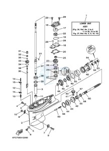 F30AMHDS drawing LOWER-CASING-x-DRIVE-1