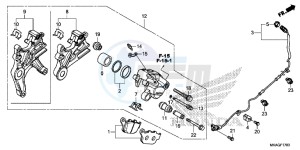 NC750SDG NC750X Europe Direct - (ED) drawing REAR BRAKE CALIPER