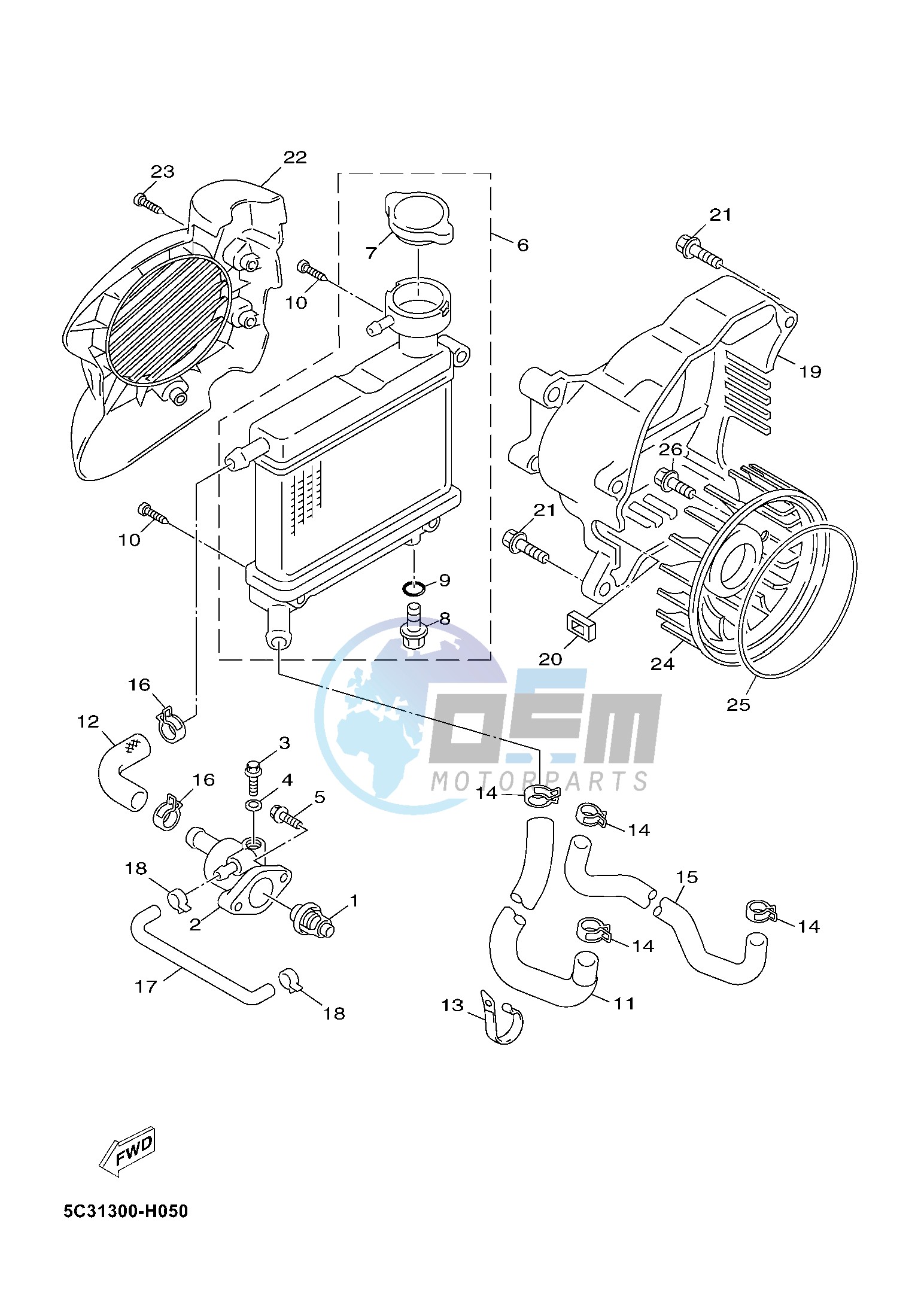 RADIATOR & HOSE