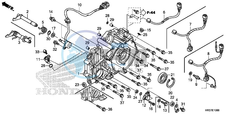 REAR CRANKCASE COVER