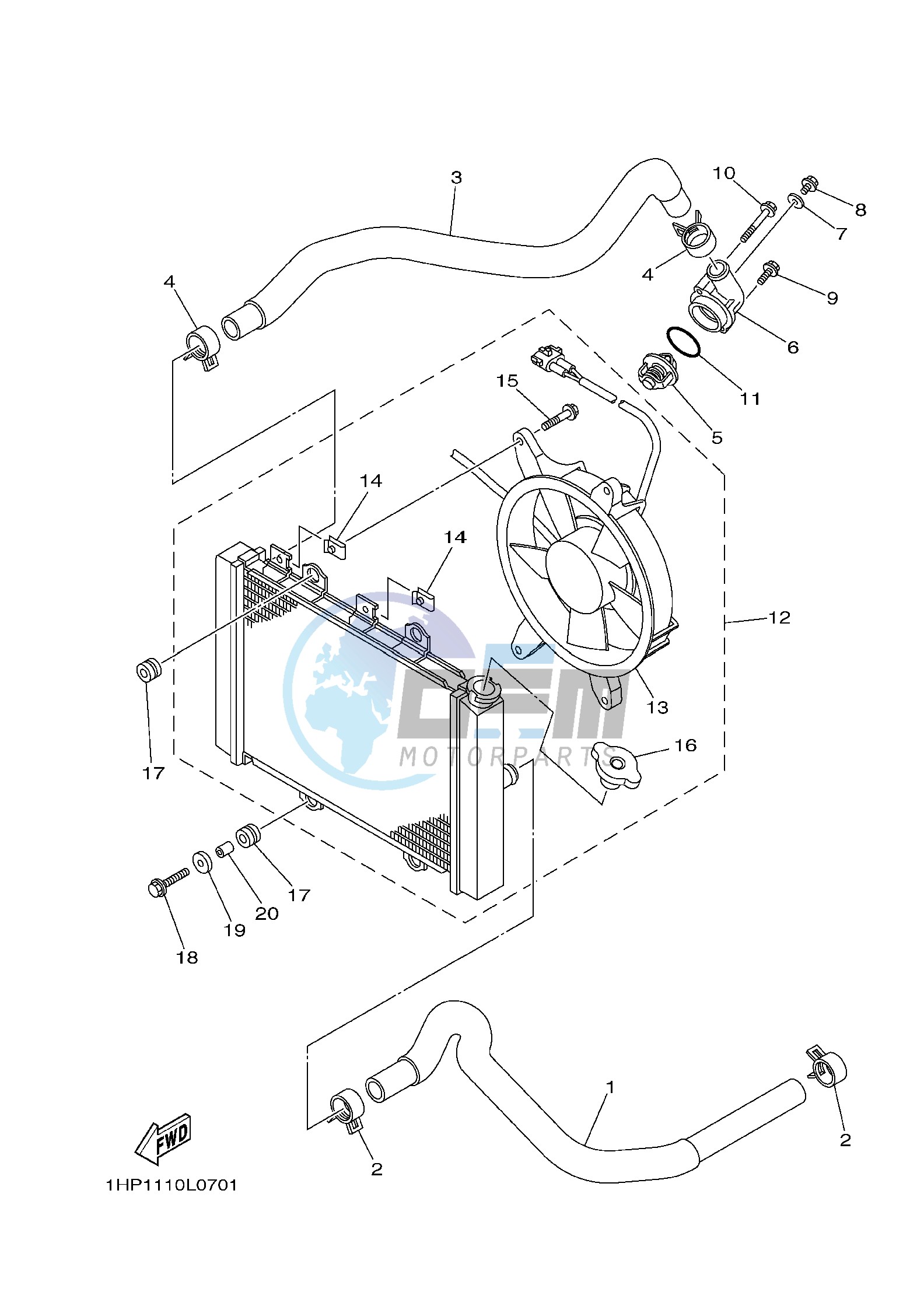 RADIATOR & HOSE