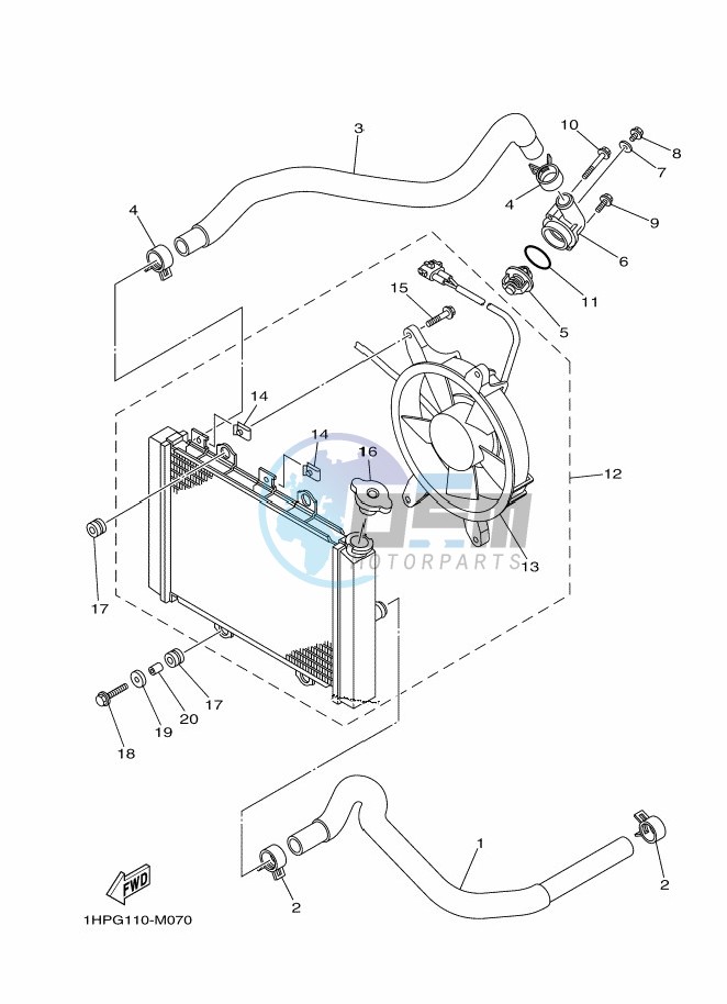 RADIATOR & HOSE