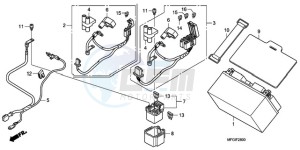 CB600FAA France - (F / ABS CMF) drawing BATTERY