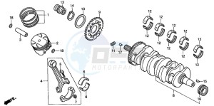 CB900F HORNET 900 drawing CRANKSHAFT/PISTON