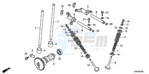 TRX500FMD TRX500FM Europe Direct - (ED) drawing CAMSHAFT/ VALVE