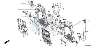 CRF150RBE CRF150RB Europe Direct - (ED) drawing RADIATOR