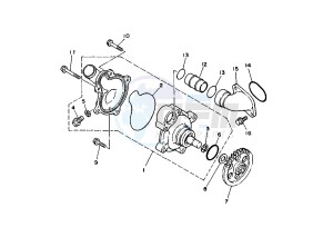 XTZ SUPER TENERE 750 drawing WATER PUMP