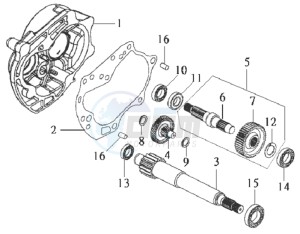 DD50 drawing CRANKCASE - DRIVE SHAFT - CRANKCASE