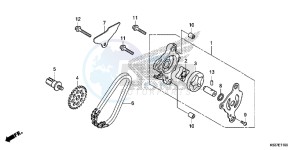 SH300AG TRX250T Europe Direct - (ED) drawing OIL PUMP