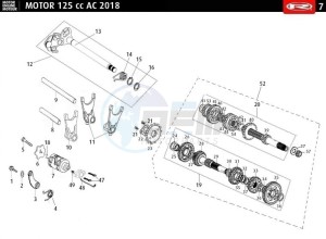 MRT-125-E4-AC-SM-WHITE drawing GEARSHIFT - TRANSMISION