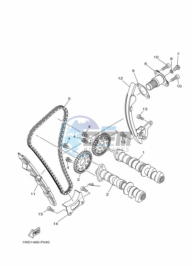 CAMSHAFT & CHAIN