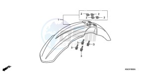 CRF150RB9 Australia - (U) drawing FRONT FENDER