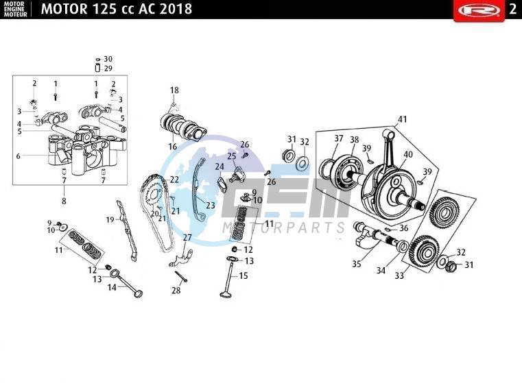 CAMSHAFT - CHAIN - CRANKSHAFT