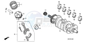 CB600FA9 France - (F / ABS CMF) drawing CRANKSHAFT/PISTON