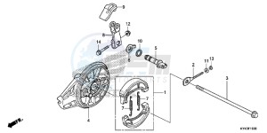 CRF110FD CRF110F Europe Direct - (ED) drawing REAR BRAKE PANEL