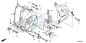 MSX125F MSX125 UK - (E) drawing LEFT CRANKCASE COVER