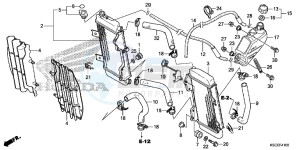 CRF250XD CRF250R Europe Direct - (ED) drawing RADIATOR