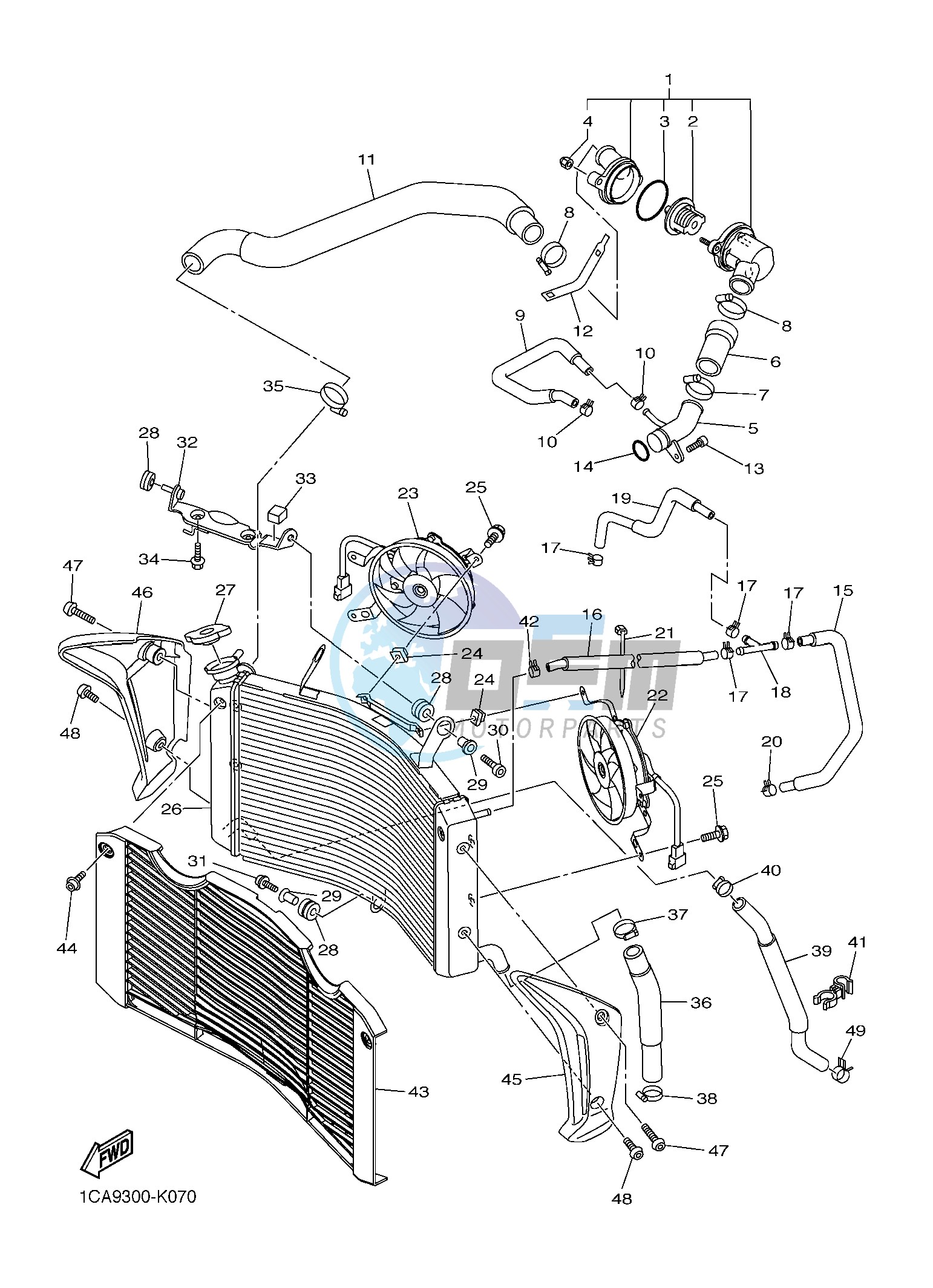 RADIATOR & HOSE