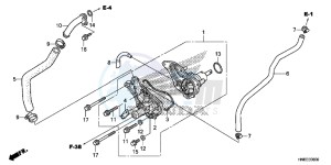 TRX680FAE TRX680 Europe Direct - (ED) drawing WATER PUMP