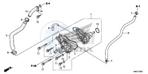 TRX680FAG Wave 110 - AFS110 UK - (E) drawing WATER PUMP