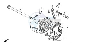 CG125M drawing REAR BRAKE PANEL