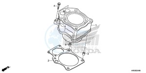 TRX500FM5F TRX500FM Europe Direct - (ED) drawing CYLINDER