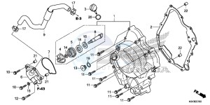 NSS300AD Forza E drawing RIGHT CRANKCASE COVER/ WATER PUMP