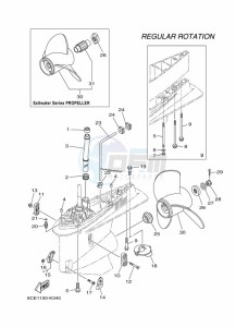 F250DETX drawing PROPELLER-HOUSING-AND-TRANSMISSION-2