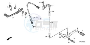 CBR1000RA9 France - (F / ABS CMF HRC MKH MME) drawing PEDAL