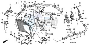 CBR600RRA Australia - (U) drawing RADIATOR