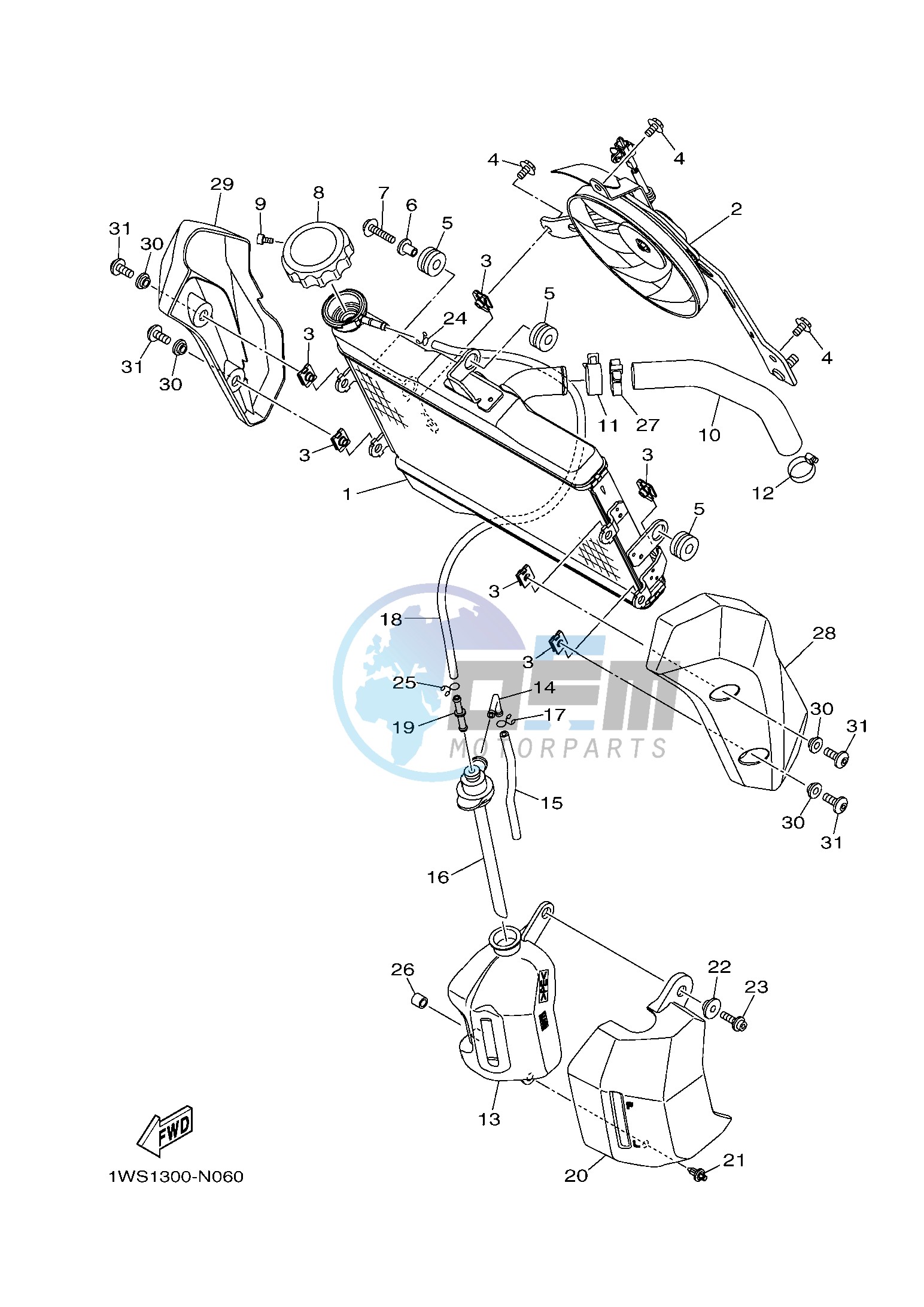 RADIATOR & HOSE