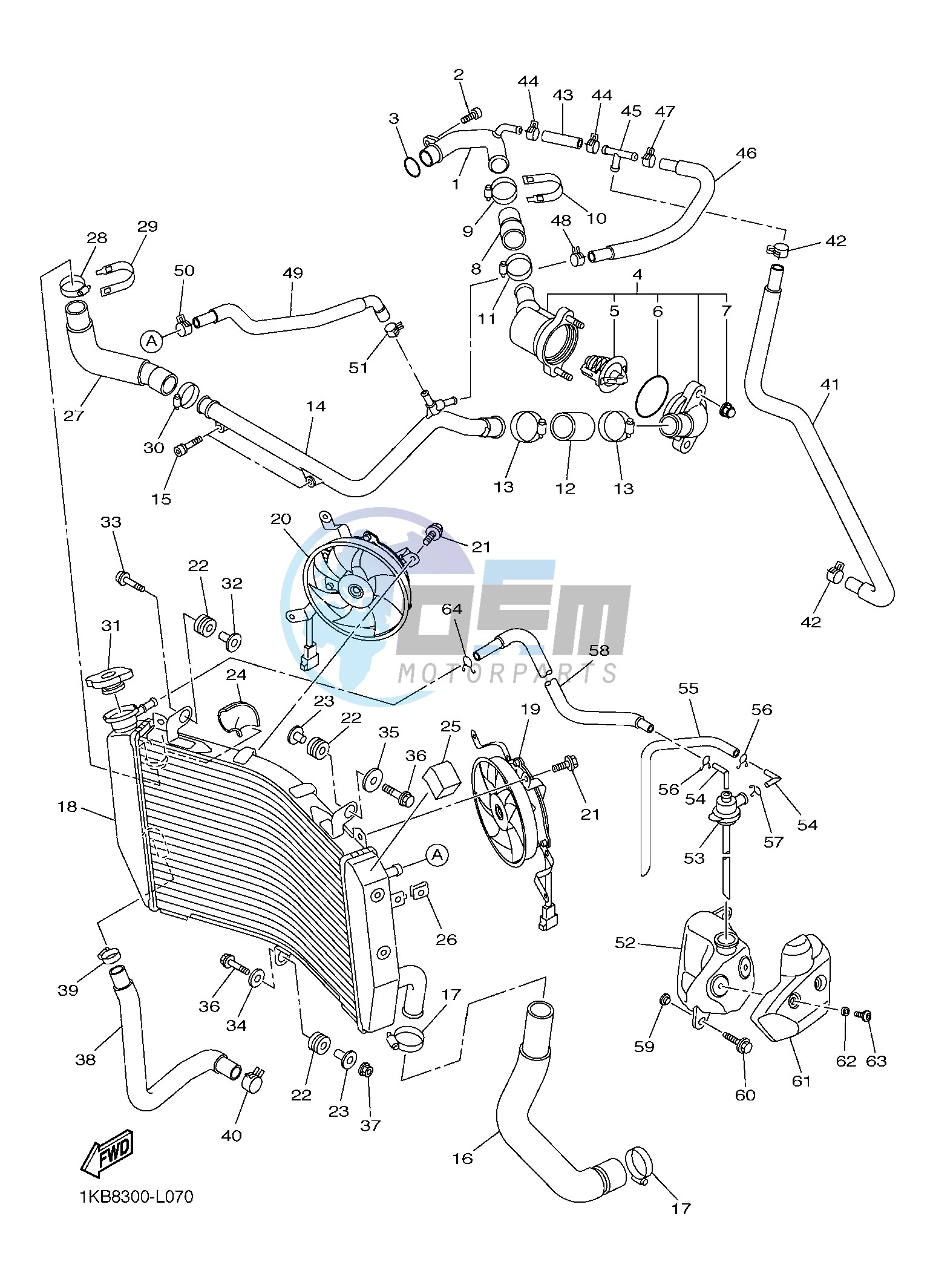 RADIATOR & HOSE