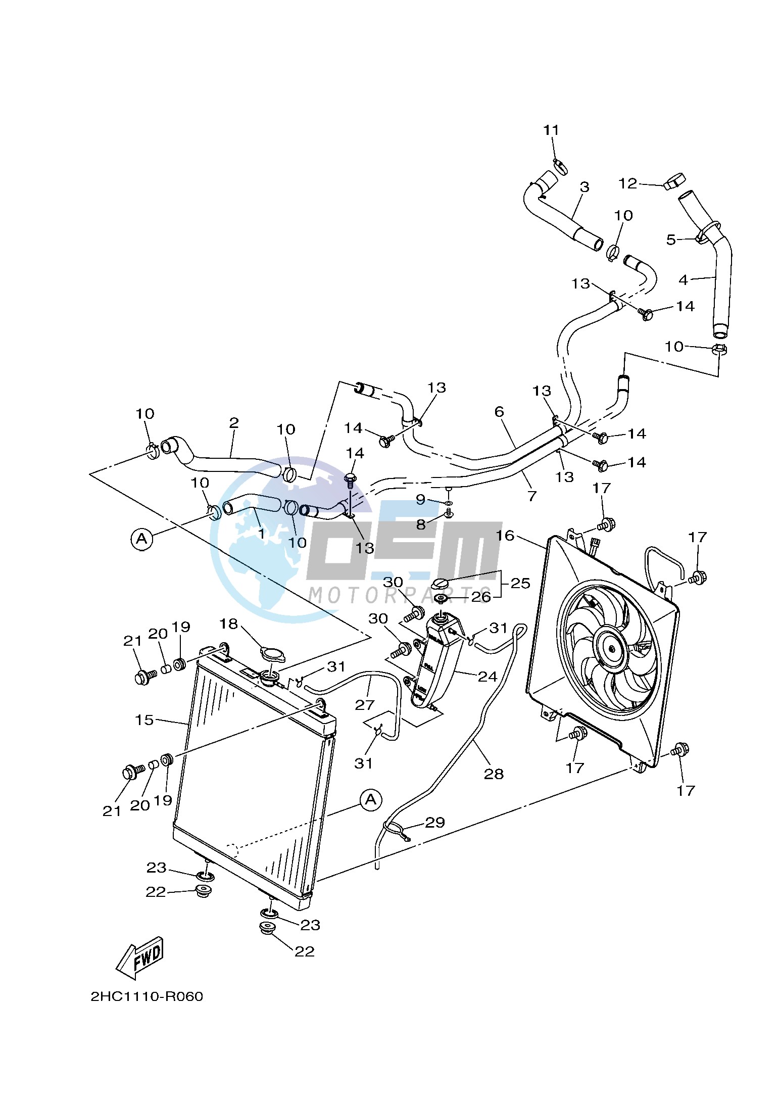 RADIATOR & HOSE