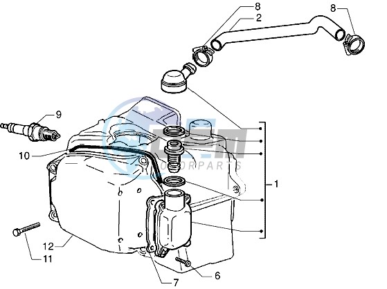 Oil drain valve